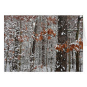 sneeuw bedekte eikenbomen WinterNatuur fotografie (Voorkant Horizontaal)