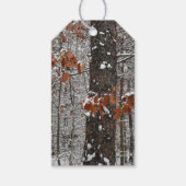 sneeuw bedekte eikenbomen WinterNatuur fotografie Cadeaulabel (Voorkant)