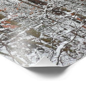 sneeuw bedekte eikenbomen WinterNatuur fotografie Foto Afdruk (Hoek)