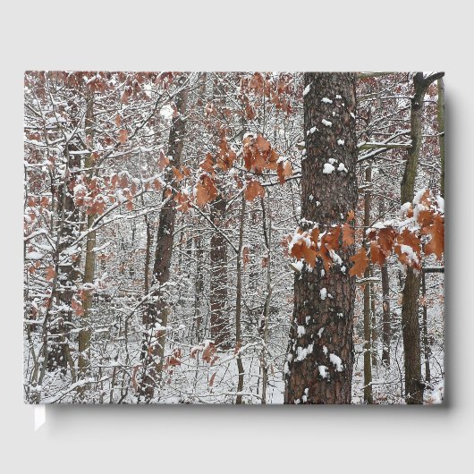 sneeuw bedekte eikenbomen WinterNatuur fotografie Gastenboek (Voorkant)