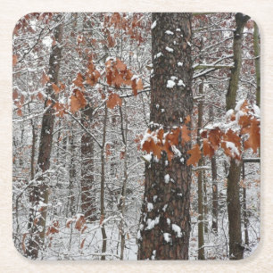 sneeuw bedekte eikenbomen WinterNatuur fotografie Kartonnen Onderzetters