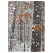 sneeuw bedekte eikenbomen WinterNatuur fotografie Klembord (Achterkant)
