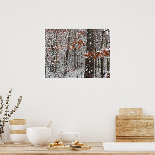sneeuw bedekte eikenbomen WinterNatuur fotografie Poster (Keuken)
