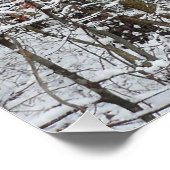 sneeuw bedekte eikenbomen WinterNatuur fotografie Poster (Hoek)