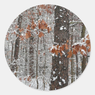 sneeuw bedekte eikenbomen WinterNatuur fotografie Ronde Sticker