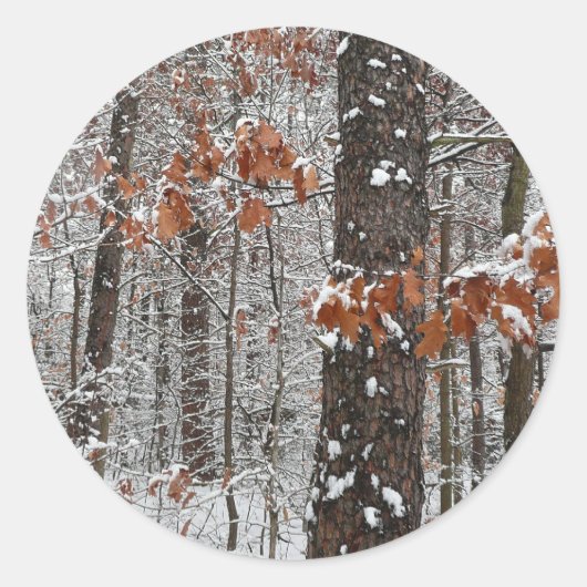 sneeuw bedekte eikenbomen WinterNatuur fotografie Ronde Sticker (Voorkant)