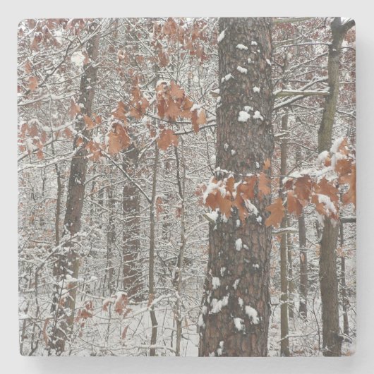 sneeuw bedekte eikenbomen WinterNatuur fotografie Stenen Onderzetter (Voorkant)