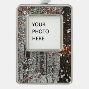 sneeuw bedekte eikenbomen WinterNatuur fotografie Verzilverd Omlijst Ornament