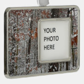 sneeuw bedekte eikenbomen WinterNatuur fotografie Verzilverd Omlijst Ornament (Rechts)