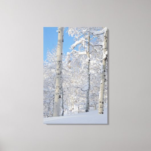 Sneeuw bedekte Espen, Beartrap-Desolation Ridge Canvas Afdruk (Voorkant)