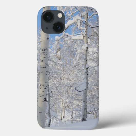 Sneeuw bedekte Espen, Beartrap-Desolation Ridge Case-Mate iPhone Case (Achterkant)