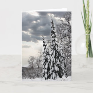 Sneeuw bedekte groenblijvende bomen onder dramatis kaart