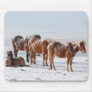 Sneeuw Bedekte IJslandse Paarden Muismat