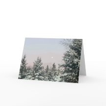 Sneeuw bedekte pijnbomen maan zonsondergang