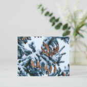 Sneeuw bedekte sparren Boughs en Pinecones Briefkaart (Staand voorkant)