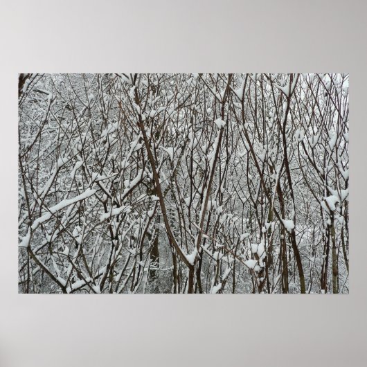 Sneeuw bedekte takken winter poster (Voorkant)