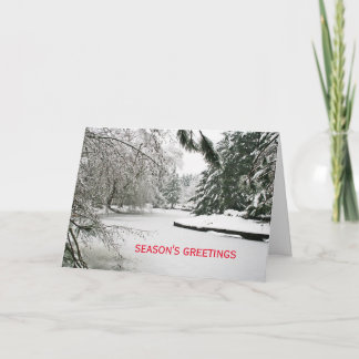 Sneeuw bedekte vijver gevouwen kerstkaart feestdagen kaart