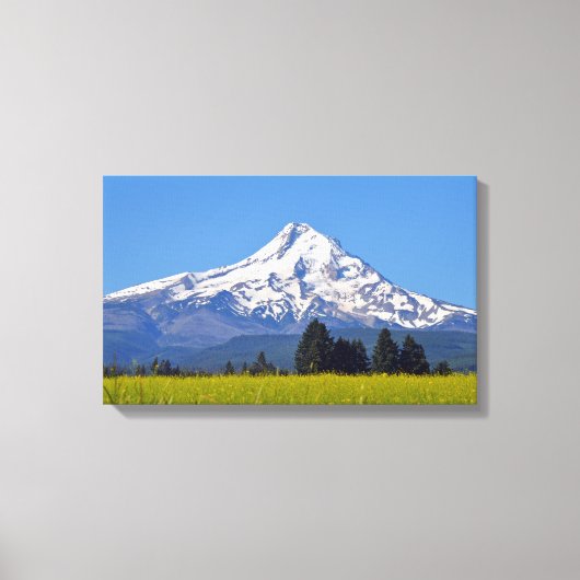 Sneeuw begrensd Mt Hood in Oregon, Verenigde State Canvas Afdruk (Voorkant)