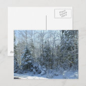 Sneeuw Behandelde Kerstboom Feestdagenkaart (Voorkant / Achterkant)