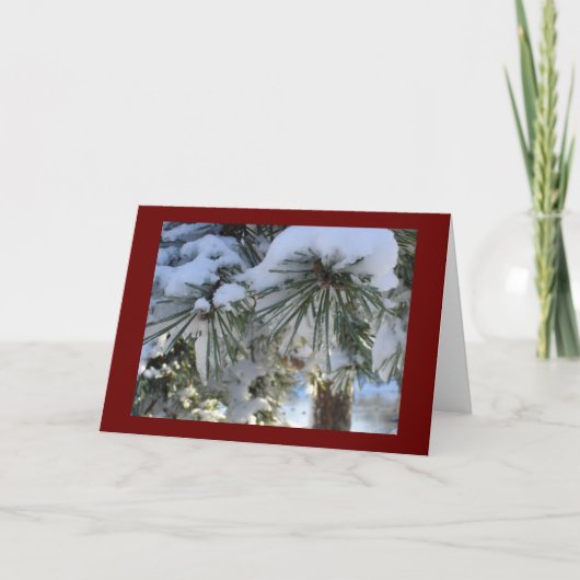 sneeuw behandelde pijnbomen feestdagen kaart (Voorkant)
