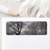 Sneeuw Behandelde Takken Etiket (Insitu)