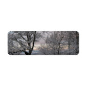 Sneeuw Behandelde Takken Etiket (Voorkant)