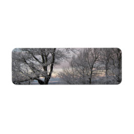 Sneeuw Behandelde Takken Etiket