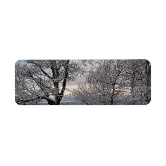 Sneeuw Behandelde Takken Etiket (Voorkant)