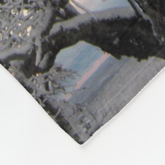 Sneeuw Behandelde Takken Fleece Deken (Hoek)