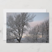 Sneeuw Behandelde Takken Kaart (Voorkant)