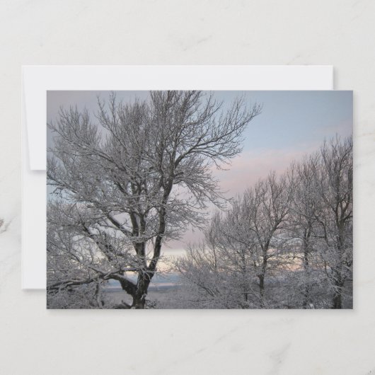 Sneeuw Behandelde Takken Kaart (Voorkant)