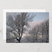 Sneeuw Behandelde Takken Kaart (Voorkant / Achterkant)