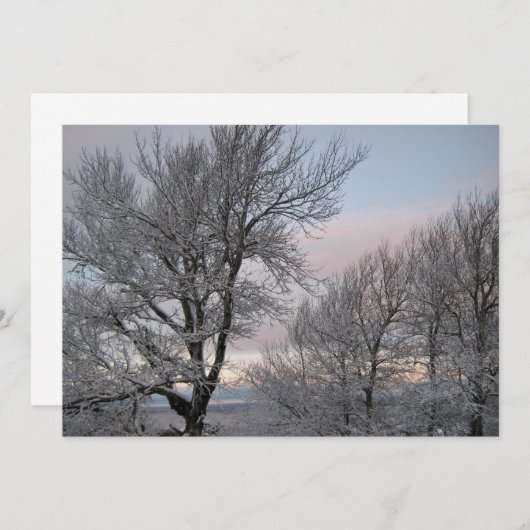 Sneeuw Behandelde Takken Kaart (Voorkant / Achterkant)