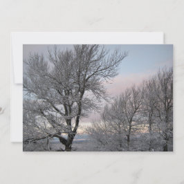 Sneeuw Behandelde Takken Kaart