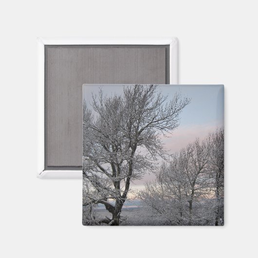 Sneeuw Behandelde Takken Magneet (Voorkant / Achterkant)