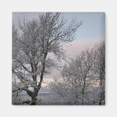 Sneeuw Behandelde Takken Magneet (Voorkant)