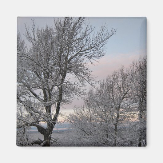 Sneeuw Behandelde Takken Magneet (Voorkant)