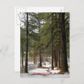 Sneeuw bij kerstmis Briefkaart (Voorkant / Achterkant)