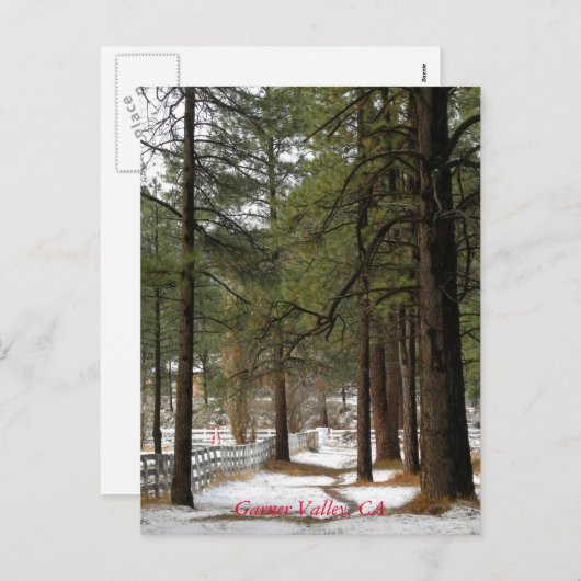 Sneeuw bij kerstmis Briefkaart (Voorkant / Achterkant)