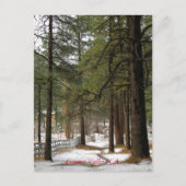 Sneeuw bij kerstmis Briefkaart (Voorkant)