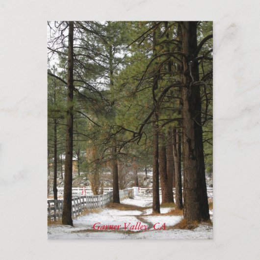 Sneeuw bij kerstmis Briefkaart (Voorkant)