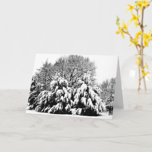 Sneeuw Bomen Natuur Winter Scène Kunst Notitiekaar Kaart