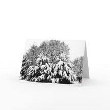 Sneeuw Bomen Natuur Winter Scène Kunst Notitiekaar