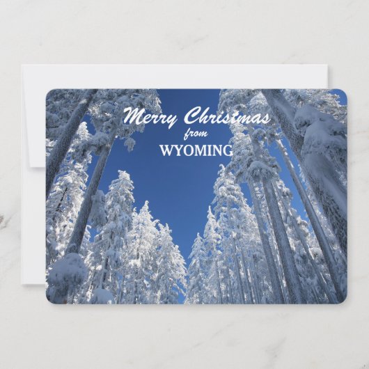 Sneeuw Bomen van de Sjabloon van de Foto van (Voorkant)