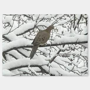 Sneeuw Boom Takken Vogel (fotografie door mij) Magneet