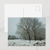 sneeuw briefkaart (Voorkant / Achterkant)