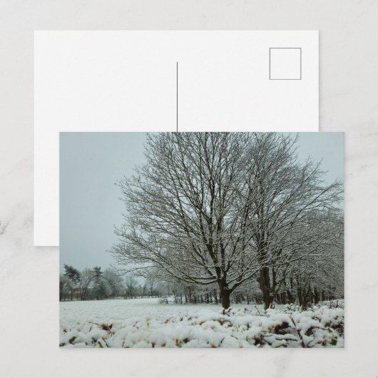 sneeuw briefkaart (Voorkant / Achterkant)