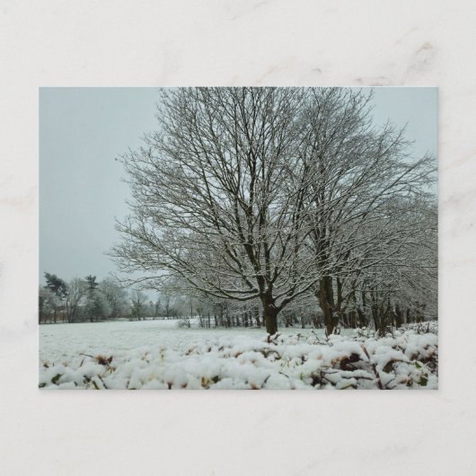 sneeuw briefkaart (Voorkant)