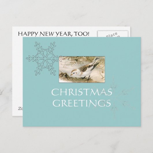 Sneeuw-Bunting briefkaart (Voorkant / Achterkant)