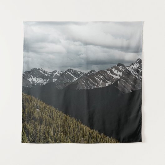 SNEEUW-CAPPED GRAY ROCKY MOUNTAIN ONDER CLOUDY SKY WANDKLEED (Voorkant)